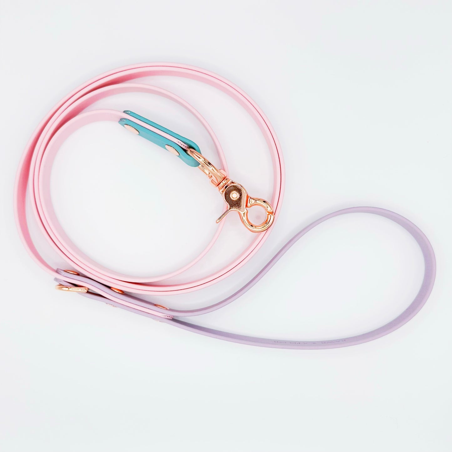 Everyday Leash (Standard)