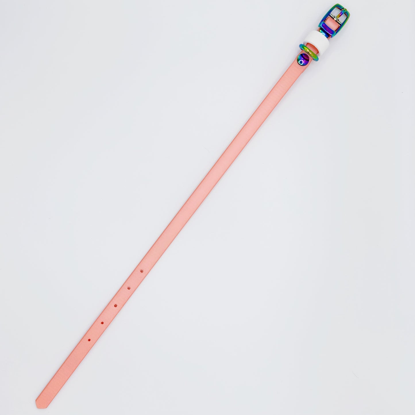 Everyday Collar (Tiny)