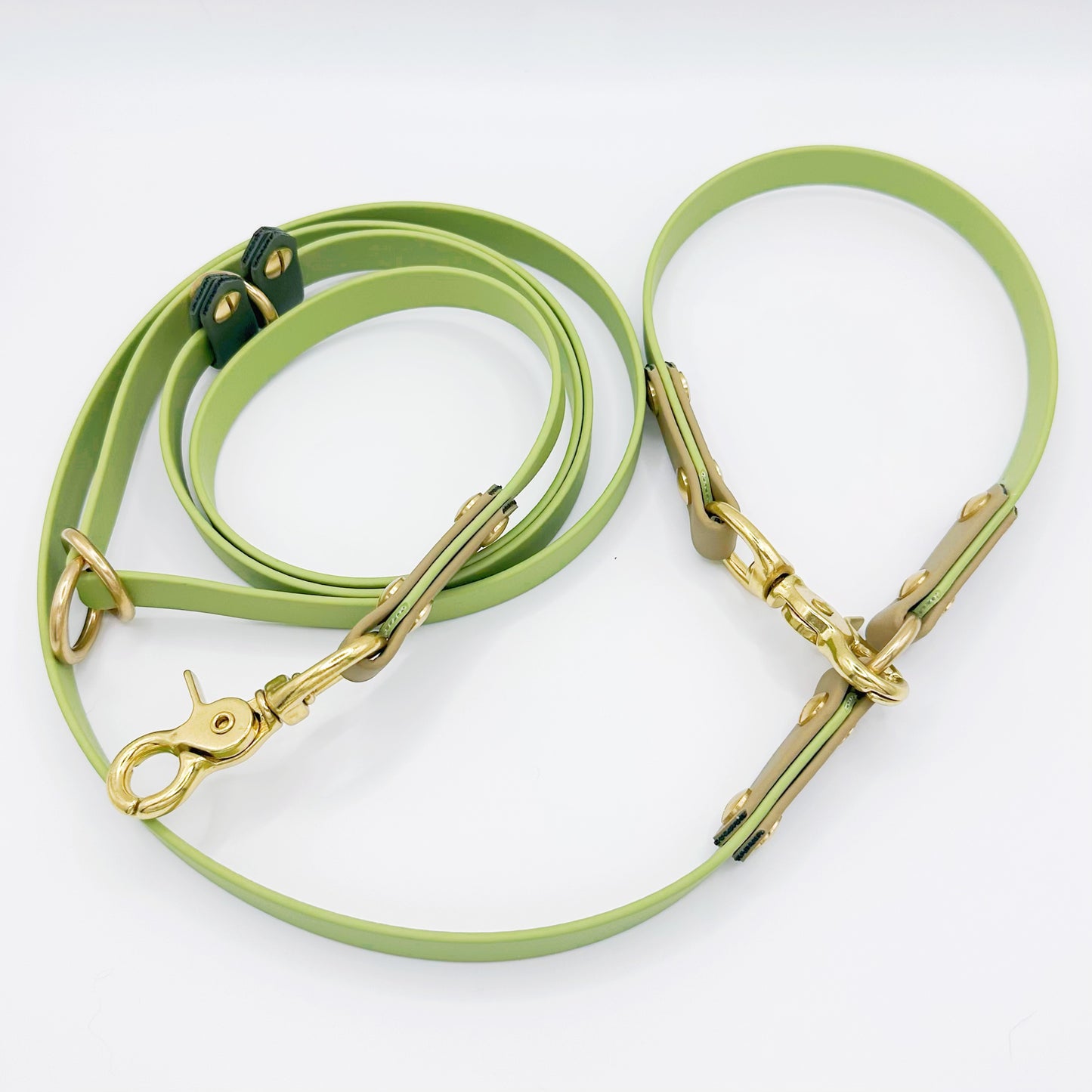 FlexiLeash