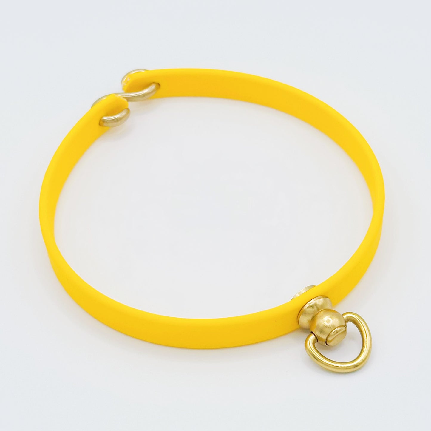 HomePaws ID Collar