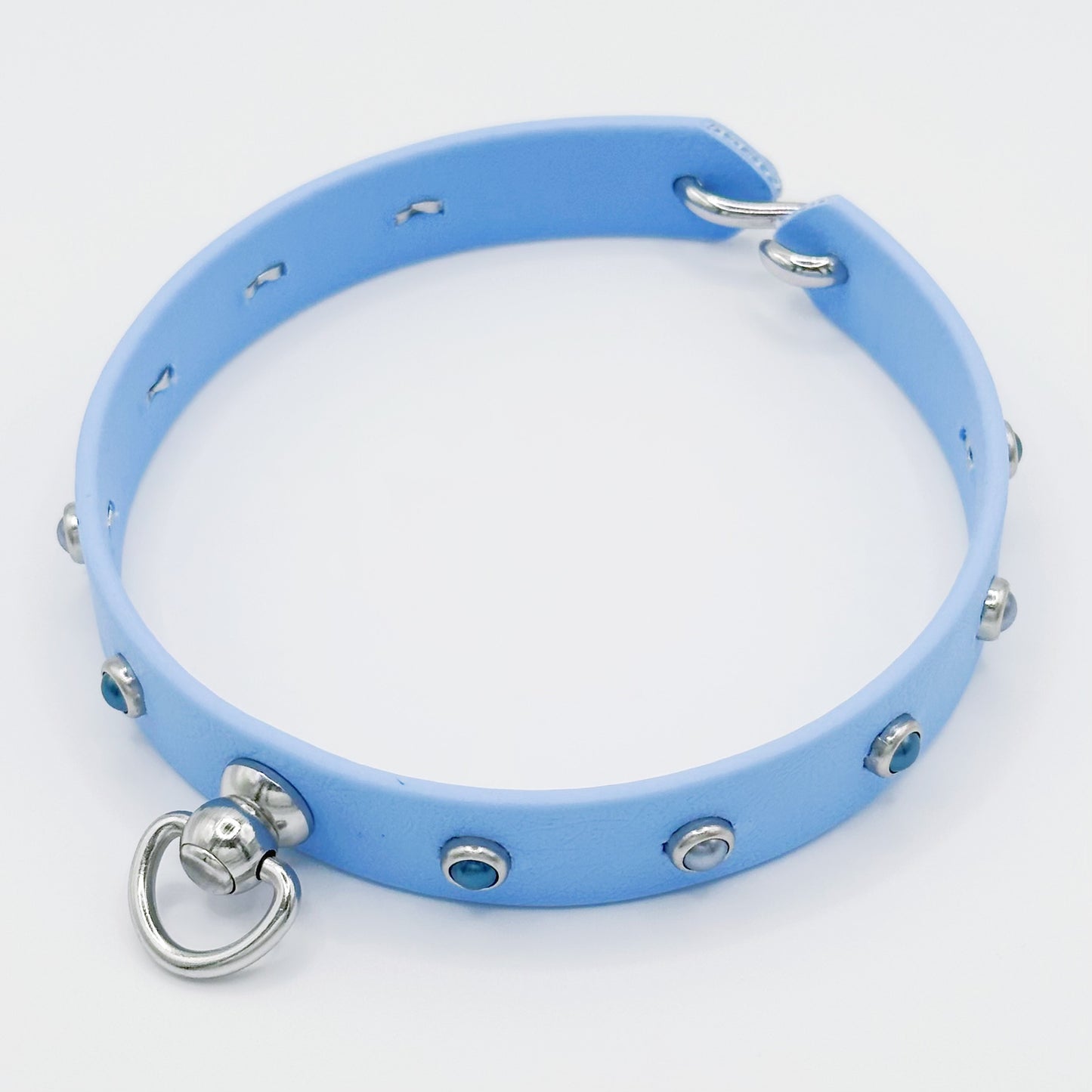 HomePaws ID Collar