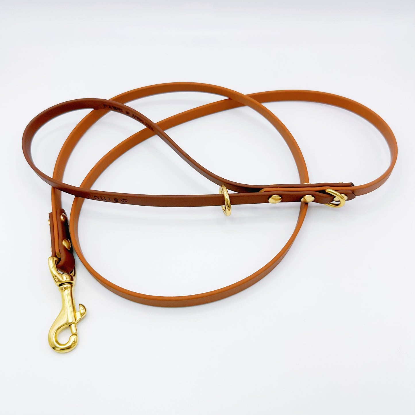 Everyday Lite Leash