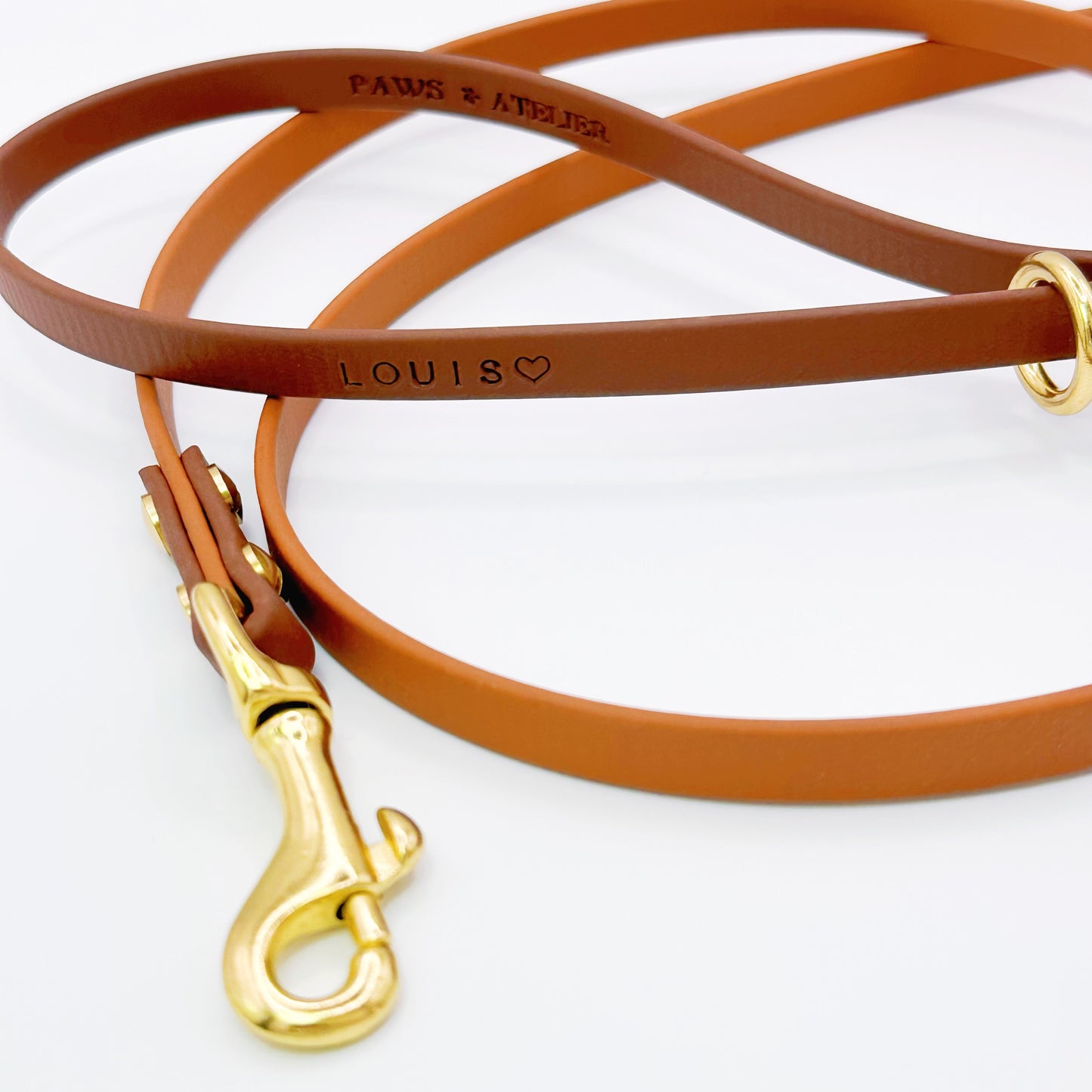 Everyday Lite Leash