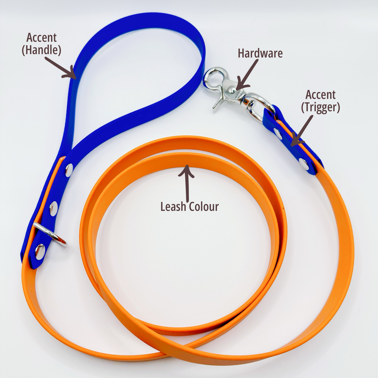 Everyday Lite Leash