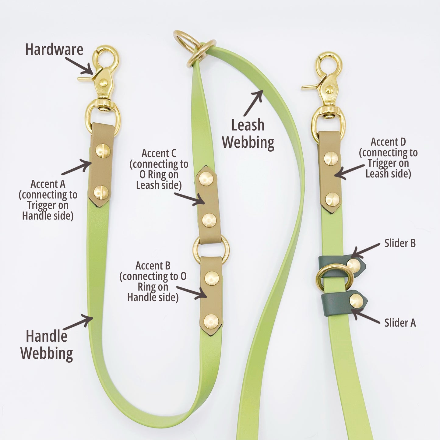 FlexiLeash