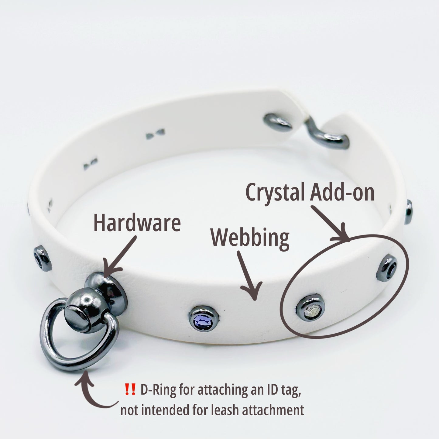 HomePaws ID Collar