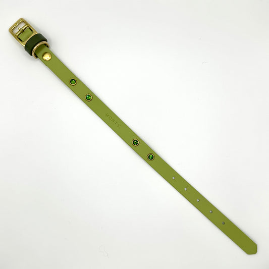 Everyday Collar (Standard)