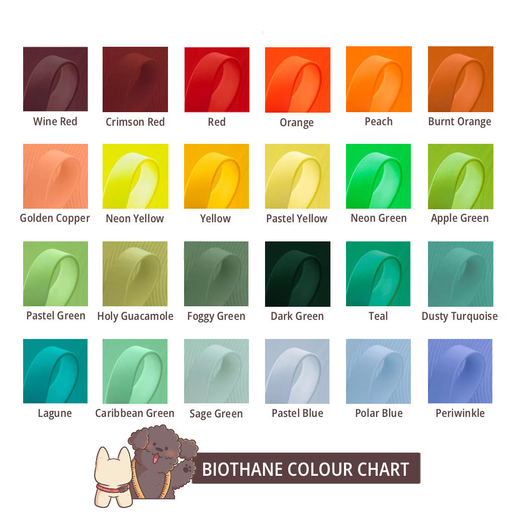 HomePaws ID Collar