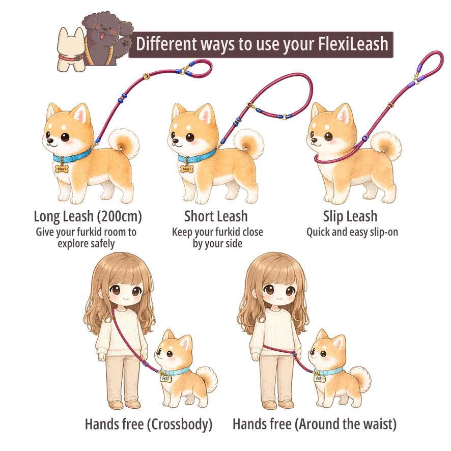 FlexiLeash