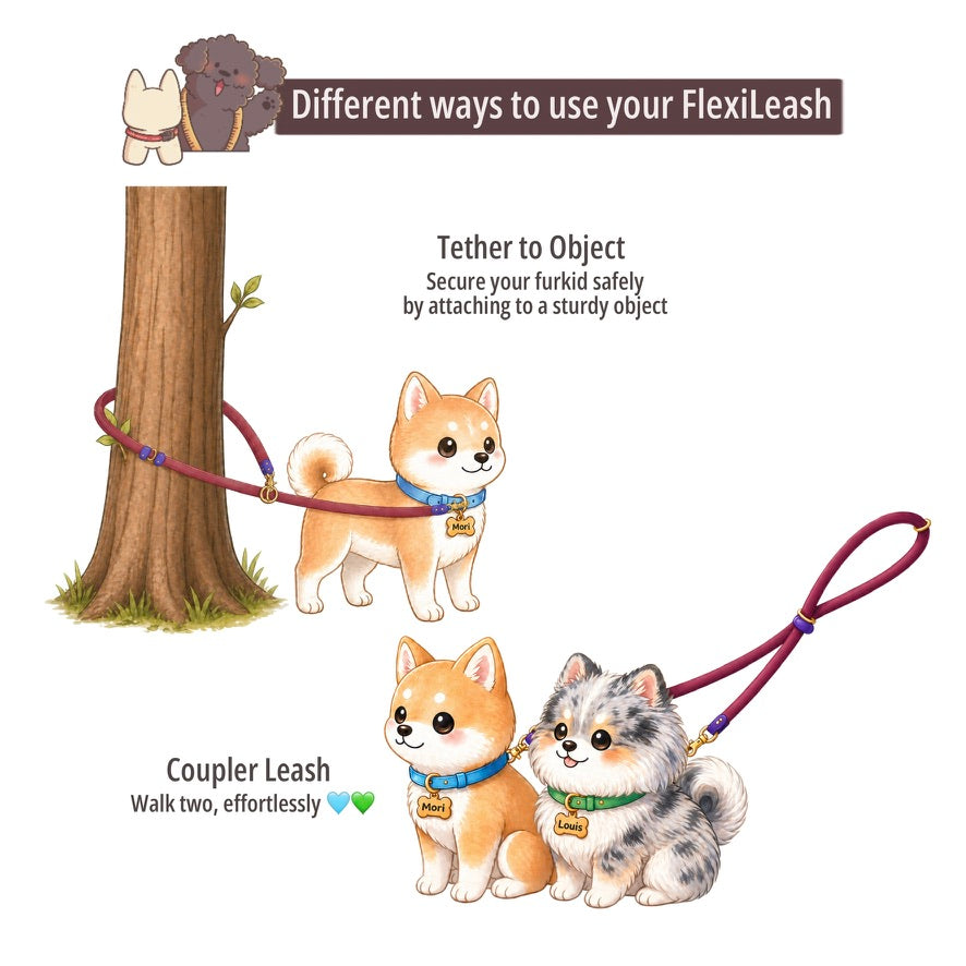 FlexiLeash