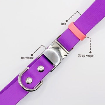 Pawchette Belt