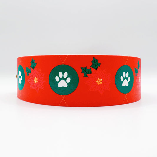 Éclat de Couleur Collar – Festive Paws