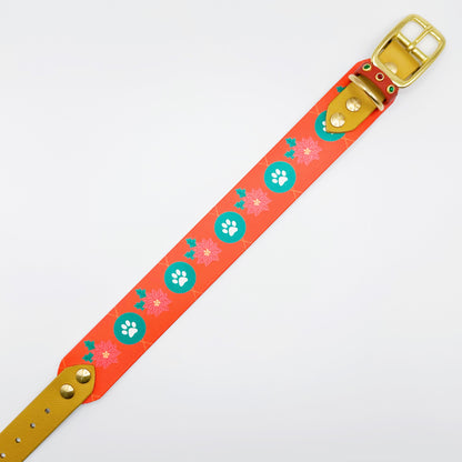 Éclat de Couleur Collar – Festive Paws