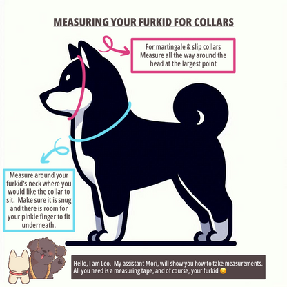 ChevraLuxe Collar