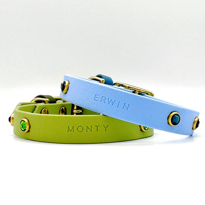 Everyday Collar (Standard)
