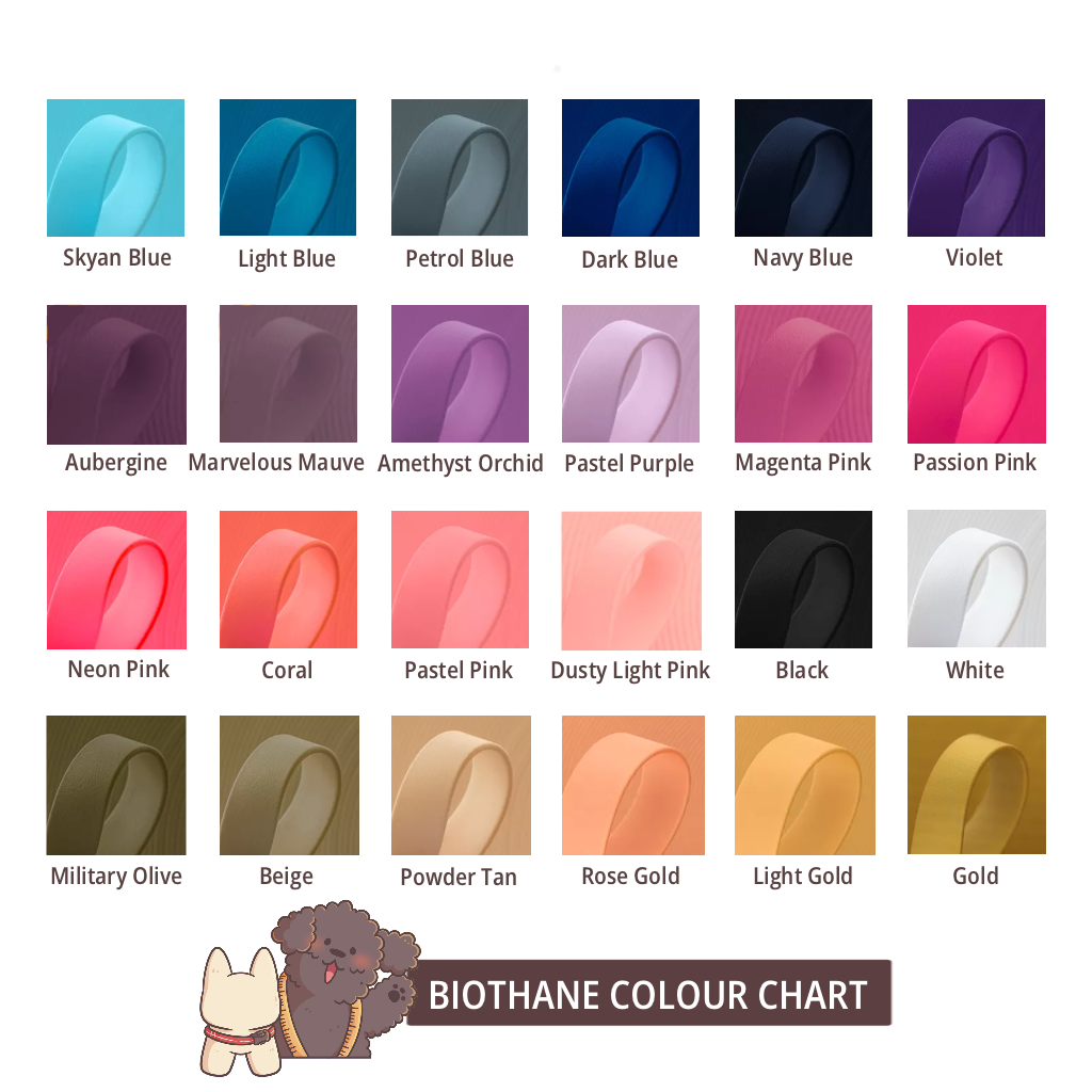 HomePaws ID Collar