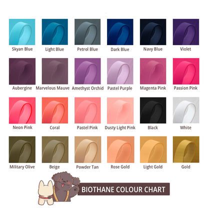 HomePaws ID Collar